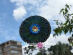 Mor Pankha - Image 2