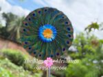 Mor Pankha - Image 6