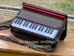 Harinam Harmonium Pro - Image 8