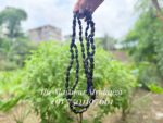 Tulasi 108 Japa Mala – Black Polish - Image 2