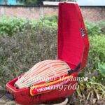 Mridanga Trolley Bag (red)