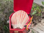 Mridanga Trolley Bag (red) - Image 2